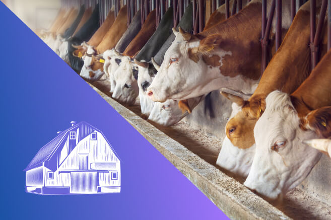 Реконструкция и модернизация действующих комплексов